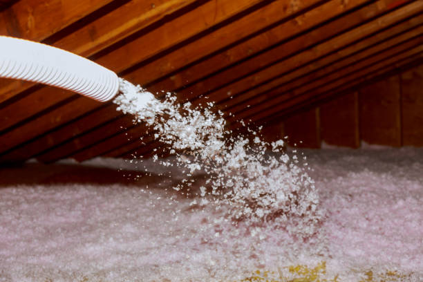 Best Insulation for Specific Applications in San Fernando, CA